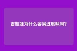 吉娃娃为什么容易过度吠叫？