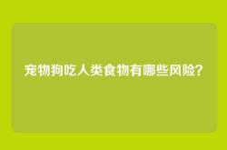 宠物狗吃人类食物有哪些风险？