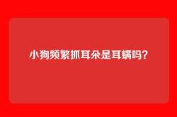 小狗频繁抓耳朵是耳螨吗？