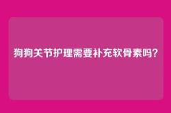 狗狗关节护理需要补充软骨素吗？