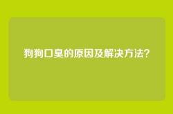 狗狗口臭的原因及解决方法？