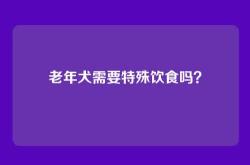 老年犬需要特殊饮食吗？