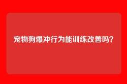 宠物狗爆冲行为能训练改善吗？