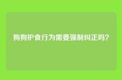狗狗护食行为需要强制纠正吗？