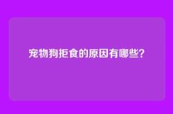 宠物狗拒食的原因有哪些？