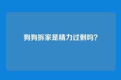 狗狗拆家是精力过剩吗？