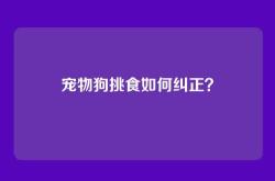 宠物狗挑食如何纠正？