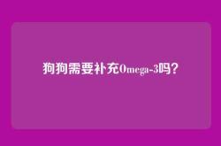 狗狗需要补充Omega-3吗？
