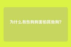 为什么有些狗狗害怕其他狗？
