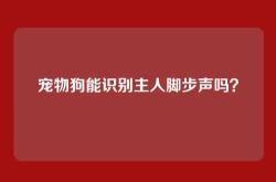 宠物狗能识别主人脚步声吗？