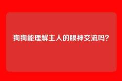 狗狗能理解主人的眼神交流吗？