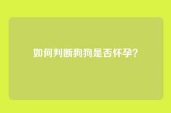 如何判断狗狗是否怀孕？