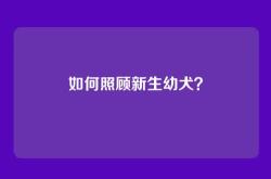 如何照顾新生幼犬？