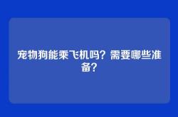 宠物狗能乘飞机吗？需要哪些准备？