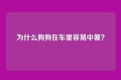为什么狗狗在车里容易中暑？