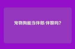 宠物狗能当伴郎/伴娘吗？