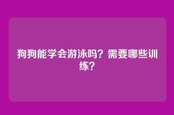 狗狗能学会游泳吗？需要哪些训练？