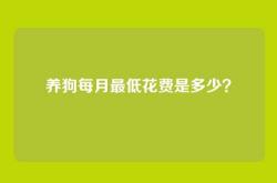 养狗每月最低花费是多少？