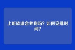 上班族适合养狗吗？如何安排时间？