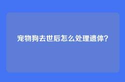 宠物狗去世后怎么处理遗体？
