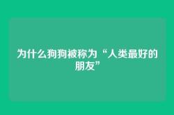 为什么狗狗被称为“人类最好的朋友”
