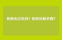 狗狗会记仇吗？如何化解矛盾？