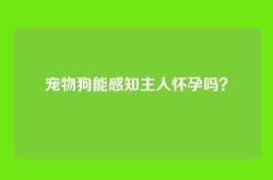 宠物狗能感知主人怀孕吗？