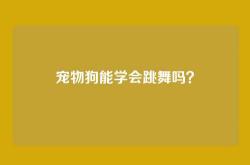 宠物狗能学会跳舞吗？