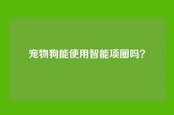 宠物狗能使用智能项圈吗？