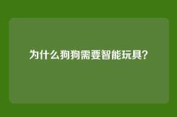为什么狗狗需要智能玩具？