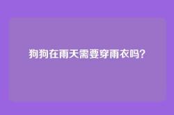 狗狗在雨天需要穿雨衣吗？