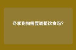 冬季狗狗需要调整饮食吗？