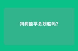狗狗能学会划船吗？