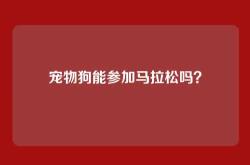 宠物狗能参加马拉松吗？