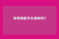 宠物狗能学会滑板吗？