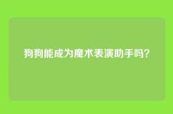 狗狗能成为魔术表演助手吗？
