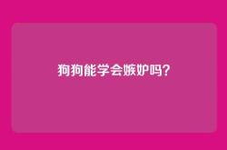 狗狗能学会嫉妒吗？