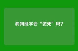 狗狗能学会“装死”吗？