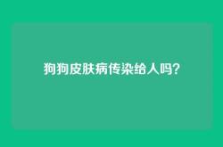 狗狗皮肤病传染给人吗？