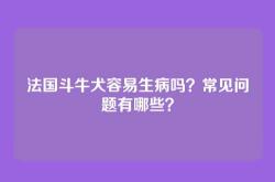 法国斗牛犬容易生病吗？常见问题有哪些？