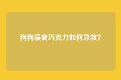 狗狗误食巧克力如何急救？