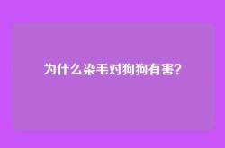 为什么染毛对狗狗有害？