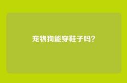 宠物狗能穿鞋子吗？