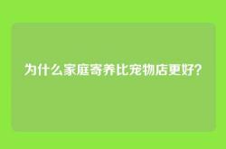 为什么家庭寄养比宠物店更好？