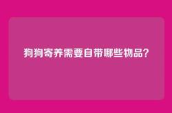 狗狗寄养需要自带哪些物品？