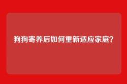 狗狗寄养后如何重新适应家庭？