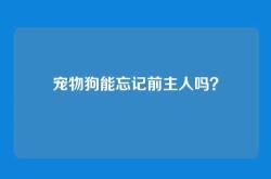 宠物狗能忘记前主人吗？