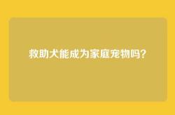 救助犬能成为家庭宠物吗？