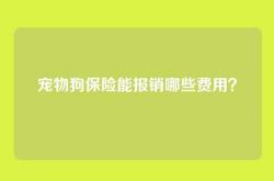 宠物狗保险能报销哪些费用？