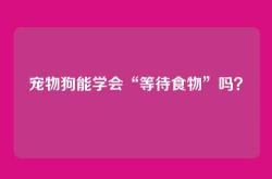 宠物狗能学会“等待食物”吗？